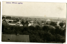 Widok Dubna