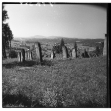 Widok kirkutu w Bobowej