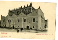 Widok synagogi w Żółkwi