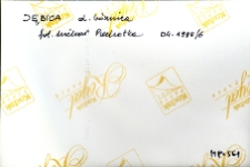 Dębica, bożnica, opis na rewersie fotografii.