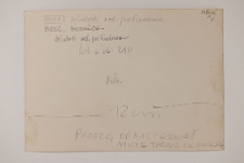 Bełz, synagoga, verso fotografii.
