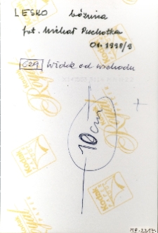 Lesko, synagoga, opis na rewersie fotografii.