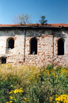 Nowy Korczyn, synagoga, ściana boczna, fragment.