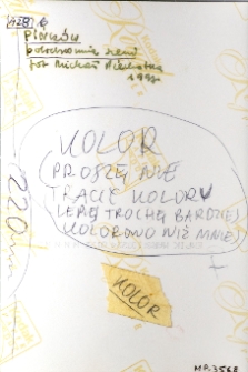 Pińcz&oacute;w, Stara Synagoga, opis na rewersie fotografii.