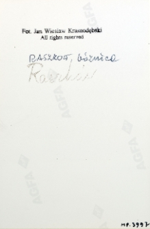 Raszków, synagoga, opis na rewersie fotografii.