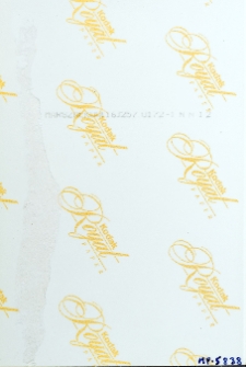 Zamosc_IS_PAN_MP_0000005838_v