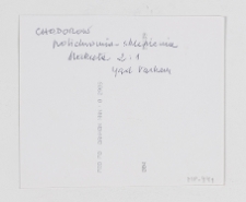 Chodorów, synagoga, polichromie, verso fotografii.