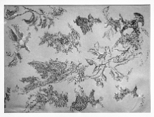Hel, Enri, (Berlewi, Helena), Metamorfozy, 1952, olej
