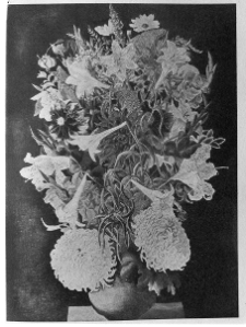 Kisling, Mojżesz, Kwiaty, 1934, olej