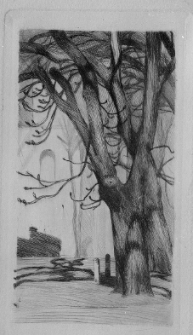 Marcoussis, Louis, Drzewa, sucha igła