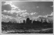 Warszawa, cmentarz na Br&oacute;dnie