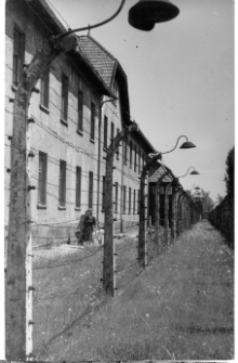 Oświęcim, niemiecki nazistowski obóz koncentracyjny i zagłady, linia drutów pod napięciem.