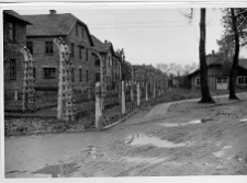 Oświęcim, niemiecki nazistowski obóz koncentracyjny i zagłady, fragment.