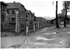 Oświęcim, niemiecki nazistowski obóz koncentracyjny i zagłady, fragment.