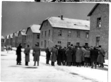 Oświęcim, niemiecki nazistowski obóz koncentracyjny i zagłady, fragment.