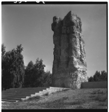 Sztutowo, niemiecki nazistowski obóz koncentracyjny, Pomnik Walki i Męczeństwa, fragment.