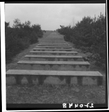 Treblinka, niemiecki nazistowski obóz zagłady, Pomnik Mauzoleum Martyrologii, fragment.