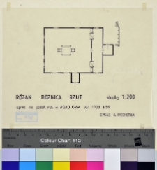 R&oacute;żan, synagoga, rzut.