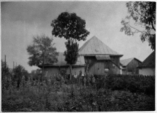 Żydaczów, synagoga.