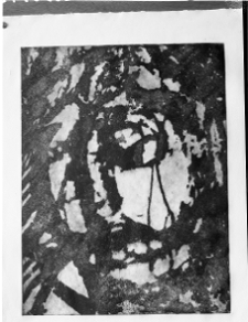 Bukowski, Aleksander, z cyklu Getto Warszawskie, 1958, technika mieszana, odprysk