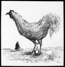 Topor, Roland, rysunek