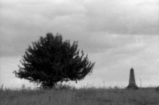 Wołpa, cmentarz żydowski