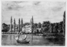 Albertyn, zesp&oacute;ł pałacowo-parkowy. Widok og&oacute;lny.