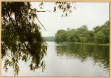 Aleksandria, park (Biała Cerkiew). Widok na rzekę Roś.