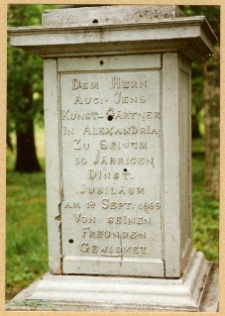 Aleksandria, park (Biała Cerkiew). Kolumna Jensa - cok&oacute;ł.