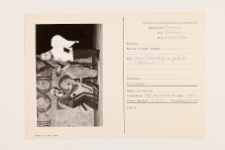 Gromiec, zesp&oacute;ł herodowy