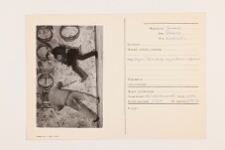 Gromiec, zesp&oacute;ł herodowy