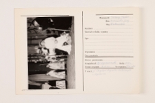 Zesp&oacute;ł kolędowy, Piekary Śląskie