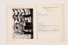 Zesp&oacute;ł kolędowy, Wielka Wieś