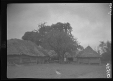Chinocz (Chinocze), wieś