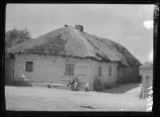 Dąbrowica, chata, widok ogólny