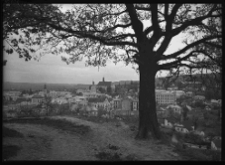 Brzeżany, widok ze wzgórza na panoramę miasta