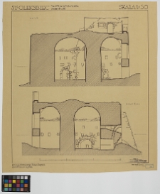 Stary Oleksiniec, zamek, basteja wsch.: przekroje