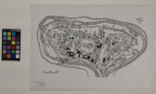 Kamieniec Podolski, plan miasta