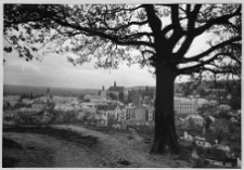 Brzeżany, widok ze wzg&oacute;rza na panoramę miasta