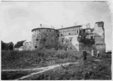 Brzeżany, zamek Sieniawskich