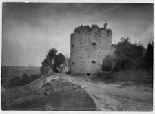 Budzan&oacute;w, zamek, basteja