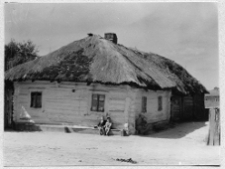 Dąbrowica, drewniana chata