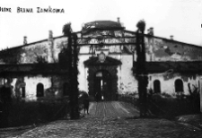 Dubno, zamek Ostrogskich, brama zamkowa