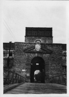 Dubno, zamek Ostrogskich, brama zamkowa