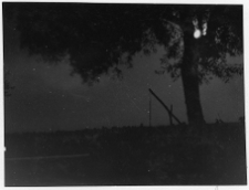 Białoz&oacute;rka, pałac