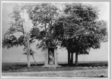 Brzeżany, widok ze wzg&oacute;rza na panoramę miasta