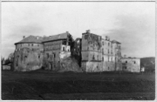 Brzeżany, zamek Sieniawskich