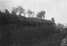 Dubno, pałac Lubomirskich, sztukaterie