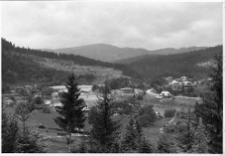 Jamna, widok rzeki Prut