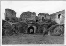 Jazłowiec, ruiny zamku, portal